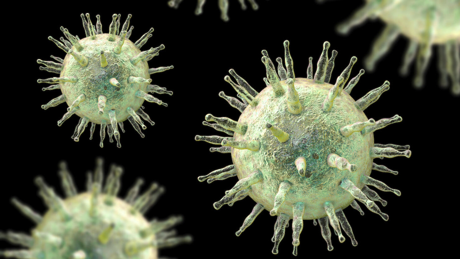 Epstein-Barr virus, illustration