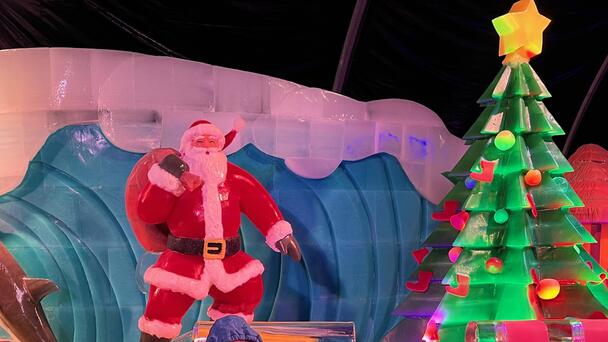 Win a Moody Gardens Getaway