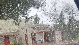 Several Days Of Wet Weather Started Today- Expect More For Over A Week