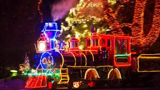 ZooLights Ready To Light The Night