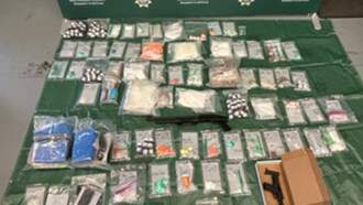 Searches Locate 14 Pounds Of Illegal Drugs