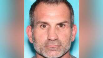 Suspect Accused Of Vandalizing US Attorney's Office Arrested After Manhunt