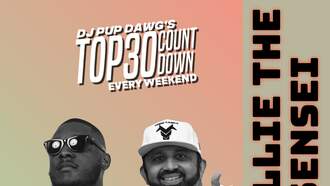 DJ Pup Dawg - Wallie The Sensei w/Dj Pup Dawg's Top30 Countdown! Here If You Missed It!