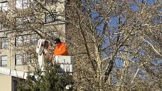 Celebration of the 40th Anniversary of the City of Lights
