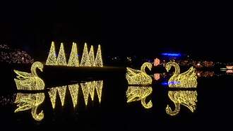 Best Bets for the Weekend, Nov 21- Nov 23