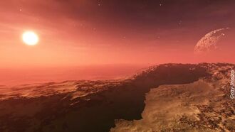 Signs of Martian Life