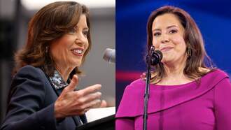 Gov. Hochul Leads Stefanik by 20 Points in New Poll