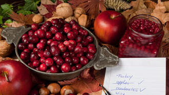 Thanksgiving Checklist! 