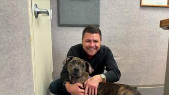 Let's Help My Pet Of The Week, Missy!