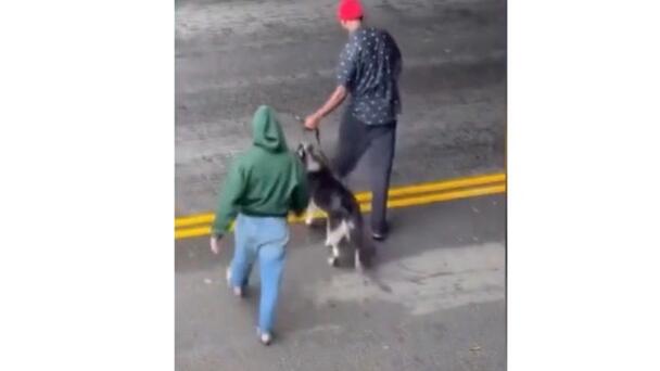 Video Shows Animal Abuse in LA; Police Response Questioned