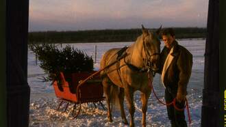 Randy Travis' 'Unmistakable' Voice Featured On Holiday Song From The Vault