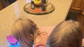 Sea Monkeys! Dave‘s Weekend in Five Pictures