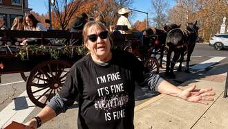 Carriage Rides in Downtown Chillicothe Ending After One or Two More