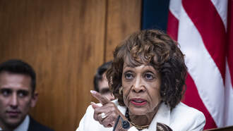 Rep. Maxine Waters Slams 'Lowdown, No Good, Filthy' Trump Over ICE Raids