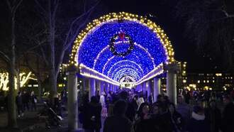 Hundreds Gathered For The 23rd Annual Trellis Lighting In The North End