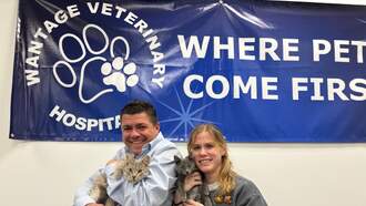 Let's Help My Pets Of The Week, Platypus and Tarsier!