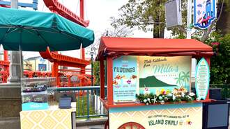 A Feel-Good Fairytale Come True At Disney California Adventure Park!