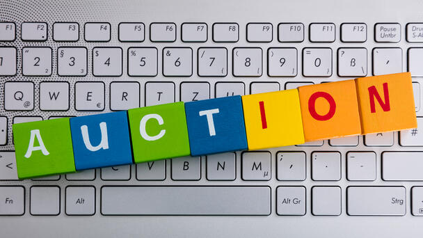 Bid Now! Bid Often! Check out the Online Auction!