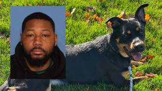 Gresham Police Seek Dog's Owner