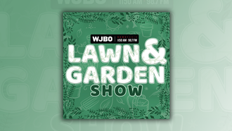 Talking Christmas Trees