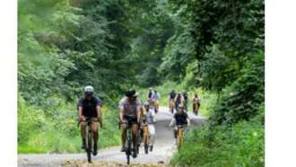 Kent County Parks conducting online survey about Indian Mounds Drive