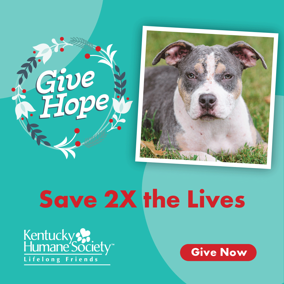 Kentucky Humane Society Radiothon - Donate Now!