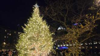 Copely Square Park Reopens With Christmas Tree Lighting Ceremony