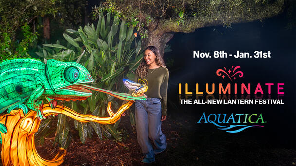 Win Tickets To Aquatica Illuminate Lantern Festival At SeaWorld Orlando!