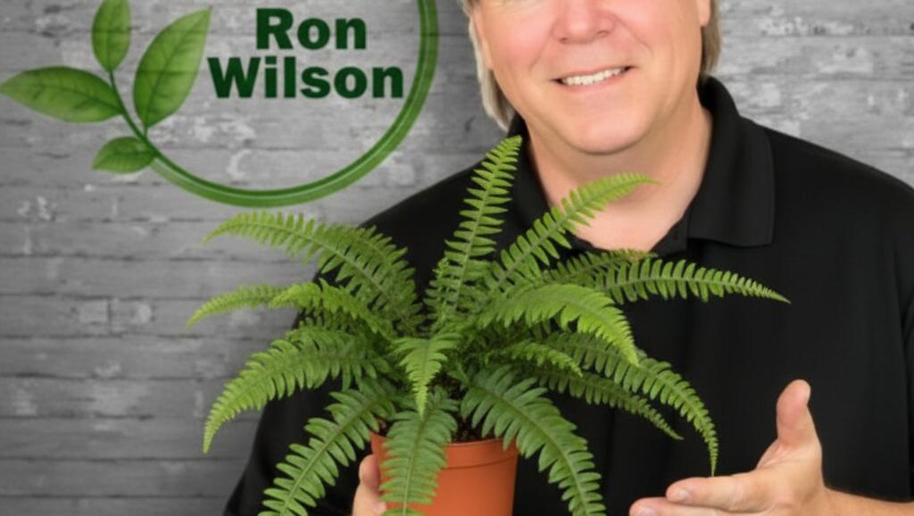 Plant of the Week - Christmas Fern