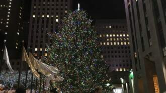 Rock Center Tree Ceremony Bringing Visitors From All Over World