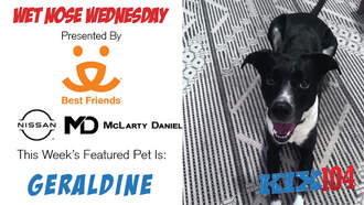 Wet Nose Wednesday sponsored by Best Friends Animal Society - Meet Geraldine – This Week’s Wet Nose Wednesday Star