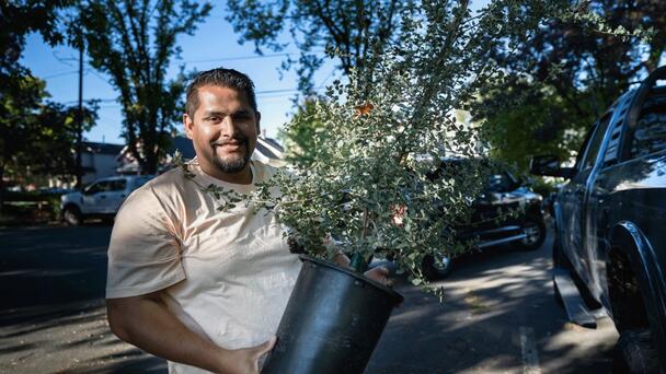 Portland Giving Away Hundreds Of Free Trees