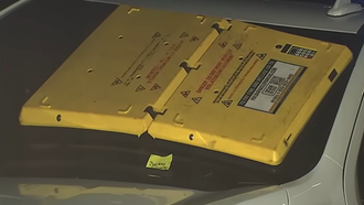 Have you heard about WINDSHIELD BARNACLES?