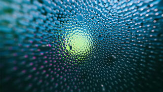 The World Unseen: Winners of the 2025 Royal Society Photo Awards