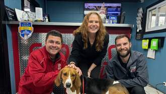 Let's Help My Pet Of The Week, Hank!