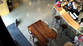 So, a Baby Seal Walks into a Bar...