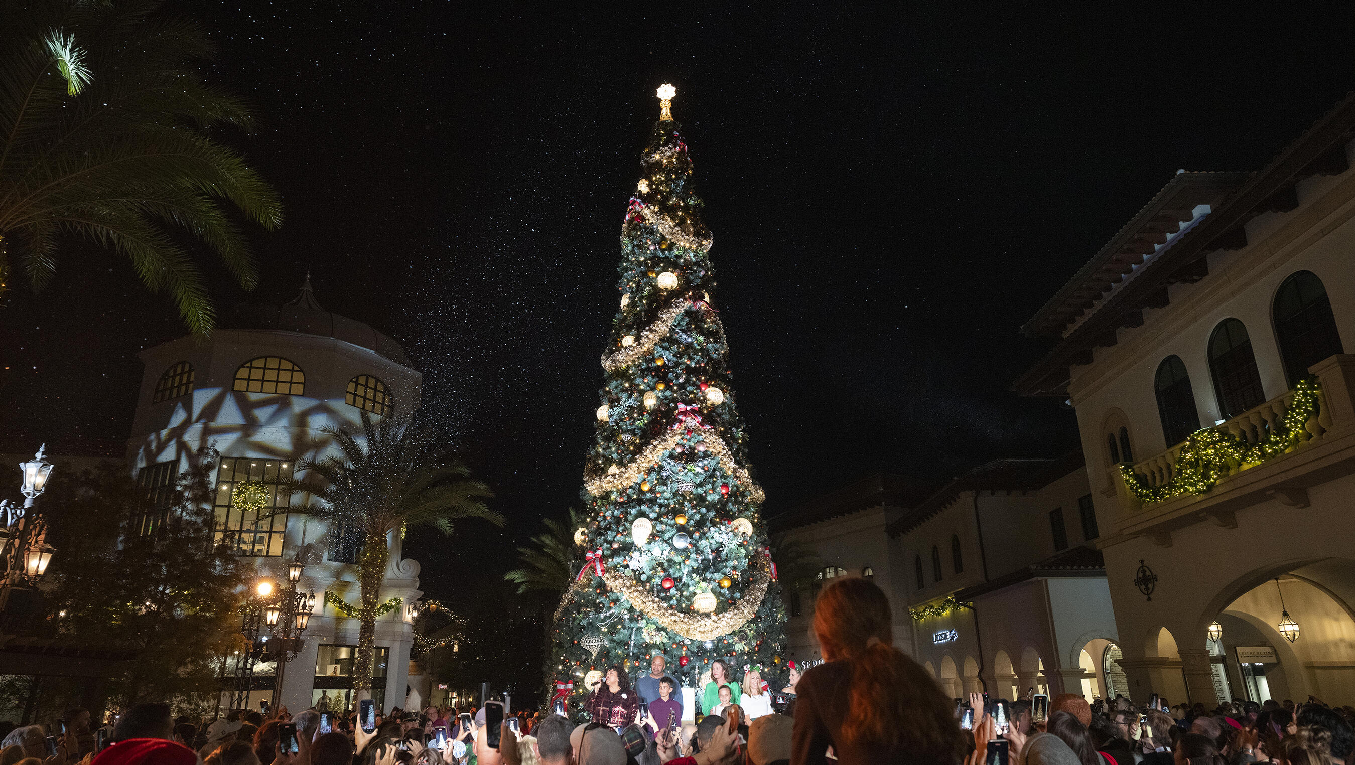 Christmas At The Parks