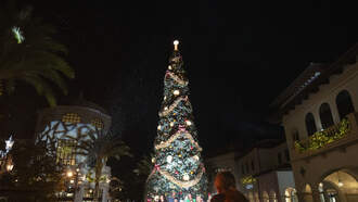 Christmas At The Parks