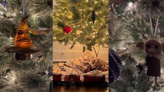 Eddie Thinks Morgan Has Taken Christmas Decorating Too Far