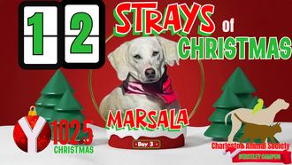 12 Strays of Christmas Day 3: MARSALA