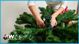 Are Fake Trees Officially More Popular Than Real Christmas Trees?