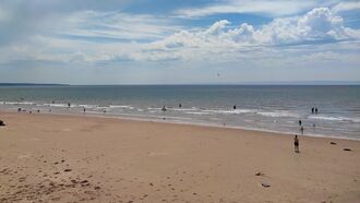 Welsh Town Mourns Loss of Beloved Piece of Driftwood Dubbed 'Lizzy the Logness Monster'
