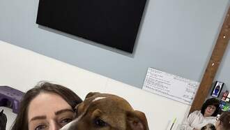 Laura's ODR Dog of the Week: Ruth!