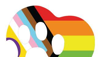 Over 60 Birds Seized From Alleged Cockfighting Ring