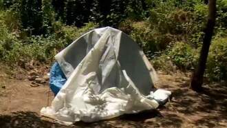 Portland's Camping Ban Issues 20 Citations