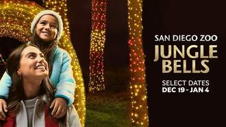 Dwight Arnold - Starting Monday: Win A Family Four Pack of Tickets to SD Zoo or Safari Park