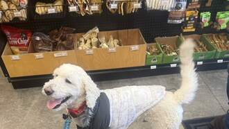 Dave’s Sub-Zero Weekend in Five Pictures!