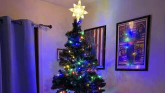 My "Getting Ready for Christmas" Weekend in Pictures 