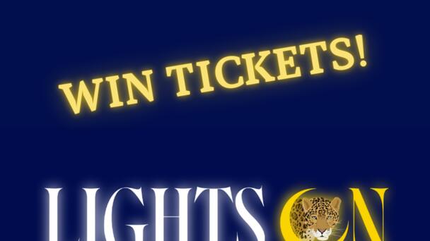 Win Tickets to Lights On: A Nighttime Art Experience at the Brevard Zoo