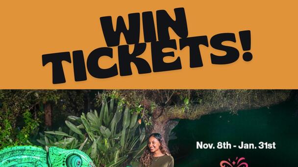 Win Tickets to the all-new Illuminate at Aquatica Orlando!